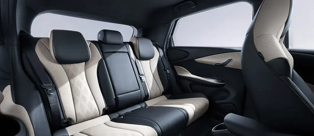 Spacious Rear Passenger Area