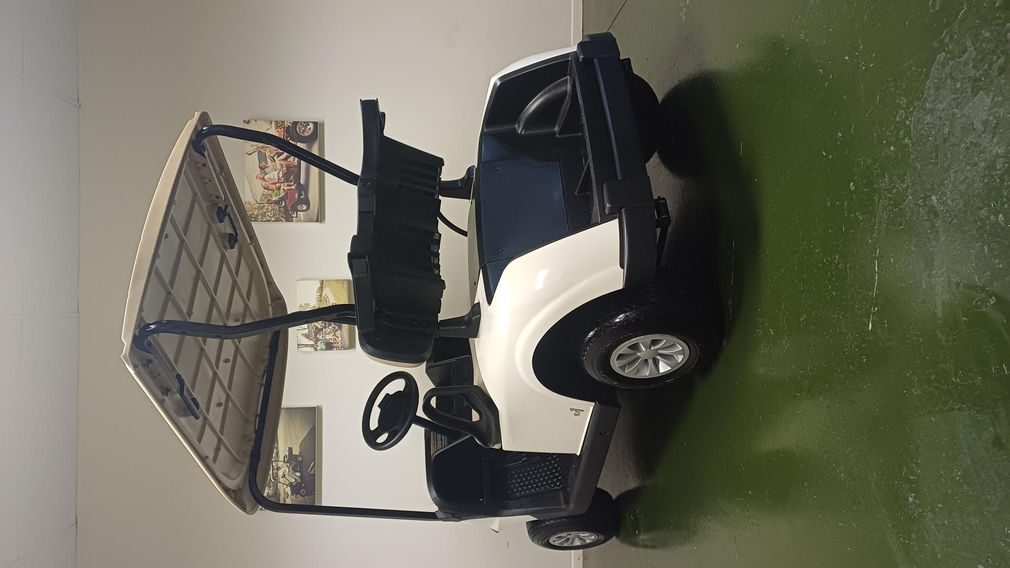 demo-rxv-fleet-2-seater-petrol-ex1